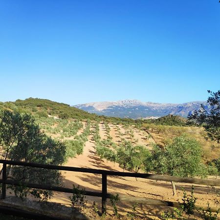 Cortijo El Arrejadero Villa Villanueva del Rosario Eksteriør bilde
