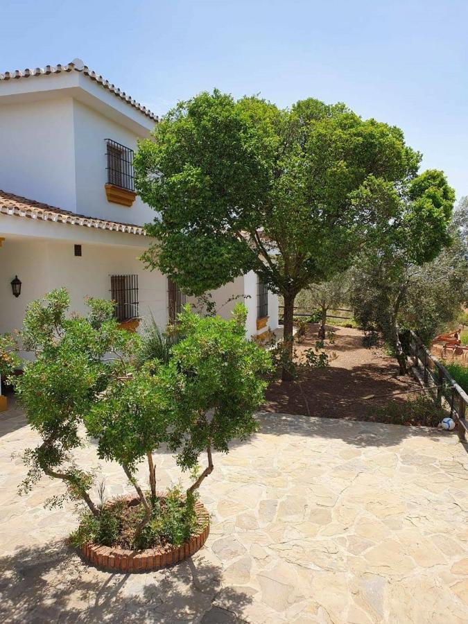 Cortijo El Arrejadero Villa Villanueva del Rosario Eksteriør bilde